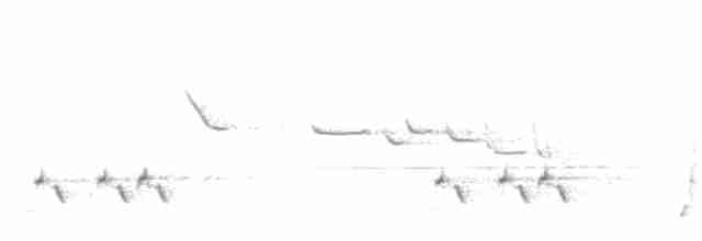 Çizgili Panterkuşu [melanocephalus grubu] - ML250678491