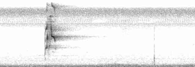 Ошейниковый арасари - ML250761