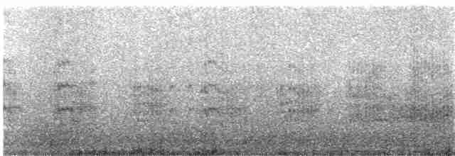 Common Tern - ML250769391