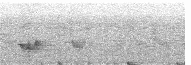 Kara Kanatlı Piranga - ML250822861