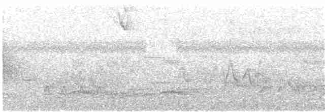 Flavescent Warbler - ML250827191