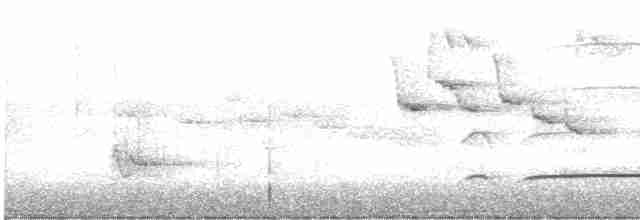 Fan-tailed Cuckoo - ML250853311