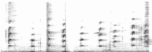 Black-necked Stilt (Black-necked) - ML250853941