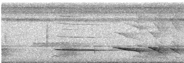 Hook-billed Kingfisher - ML251041031