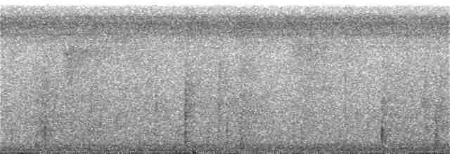 Gray Whistler (Gray-headed) - ML251042531