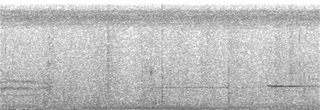 Gray Whistler (Gray-headed) - ML251042541