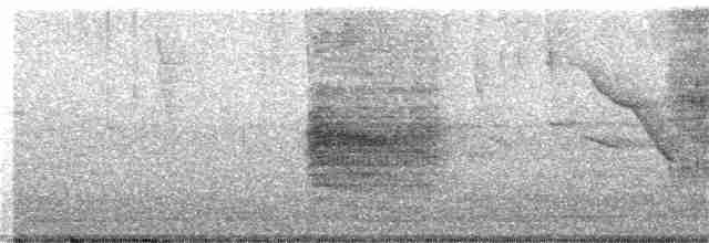 Чешуйчатогрудый пересмешник - ML251108421