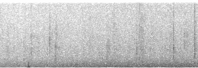 Gray-legged Tinamou - ML251123