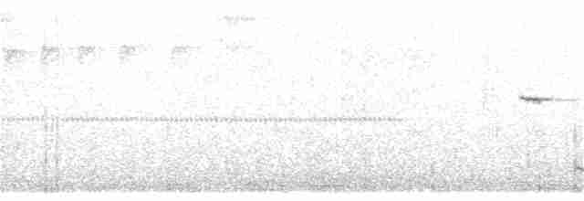 Troglodyte de Negret - ML251150951