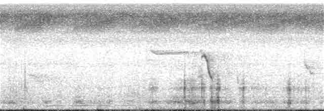 Кайеннский ибис - ML251152941