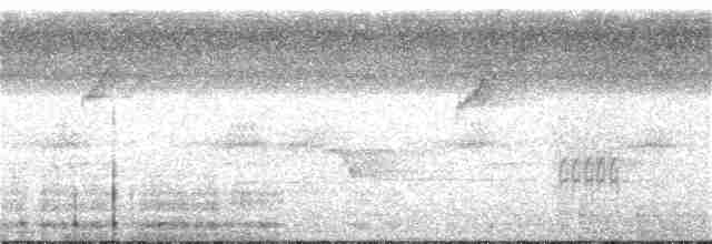 Gray-headed Kite - ML251152951