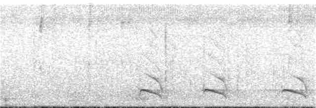 Kara Tepeli Karıncaavcısı - ML251153071