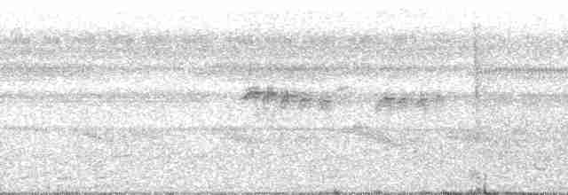 Kestane Karınlı Koca Tohumcul - ML251156