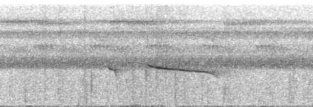 Дроздовая сельвиния - ML251162