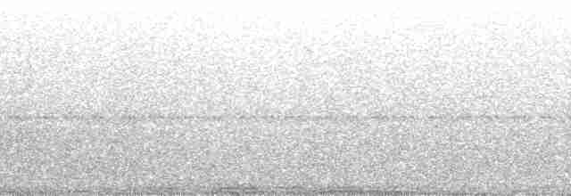 Коронник смугастоголовий - ML251181