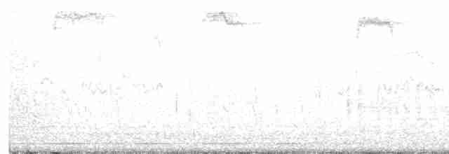 European Starling - ML251200221