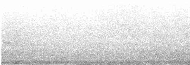 Little Tern - ML251202411