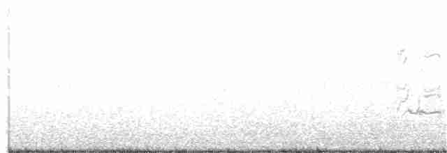 Wagler/Güneyli Wagler Papağanı - ML251255391