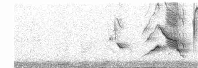 Long-tailed Meadowlark - ML251341831