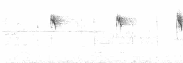 Paruline à couronne rousse (hypochrysea) - ML251343931