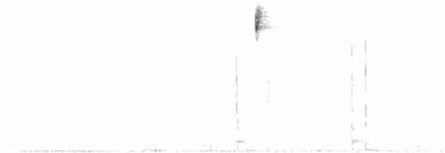 hvitstrupespurv - ML251348951