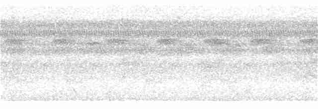Тиран-карлик буроголовий - ML251359261