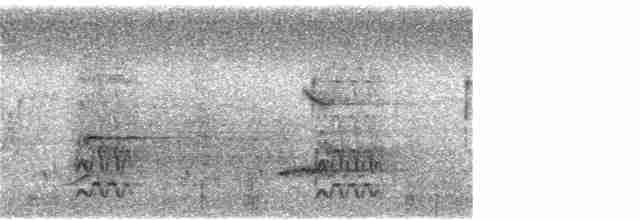 Кактусовый дятел - ML251392641