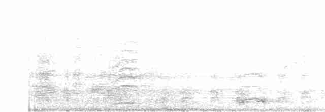 Молуккский ибис - ML251397611