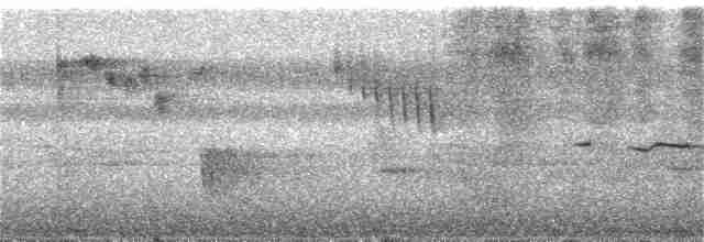 Grünstirn-Brillenvogel [chrysolaemus-Gruppe] - ML251436671