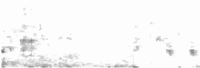 Great Reed Warbler - ML251469401