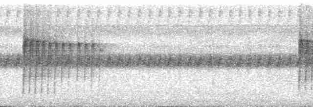 prikkstrupemaursmett (pyrrhonota) (kastanjeryggmaursmett) - ML251484