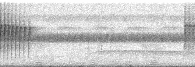 prikkstrupemaursmett (pyrrhonota) (kastanjeryggmaursmett) - ML251487