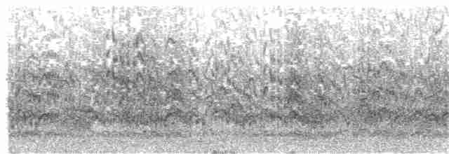 裏海燕鷗 - ML251495901