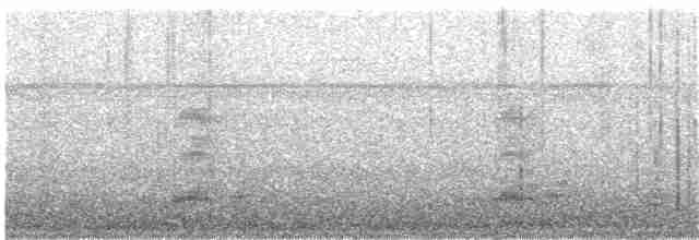 Channel-billed Toucan - ML25151231