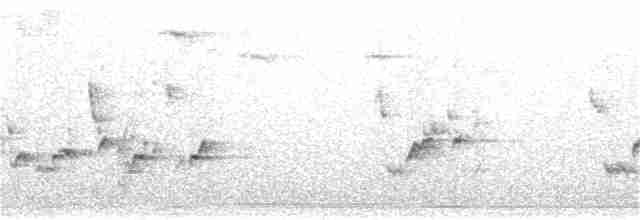 Каролинский крапивник - ML251516061