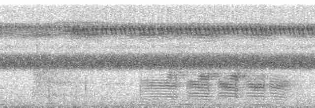 Пестрогорлый алапи (pyrrhonota) - ML251524