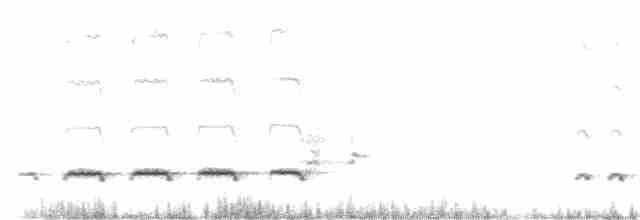 Pallid Cuckoo - ML251535131
