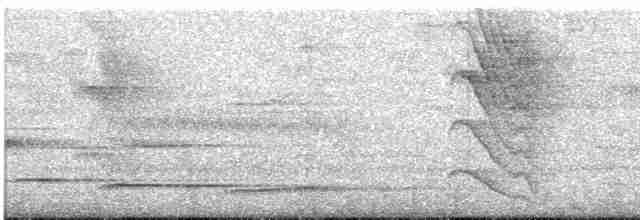 Hochland-Ameisenschlüpfer - ML251575441