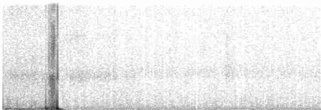 Troglodyte de Baird - ML251584361