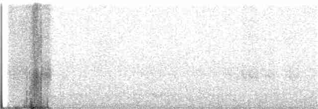 Troglodyte de Baird - ML251584471