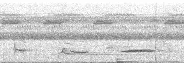 White-necked Thrush - ML251590