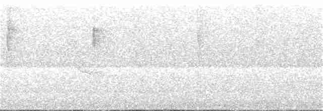 Коронник смугастоголовий - ML251600001