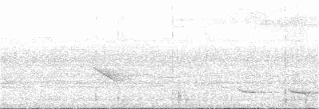 Trogon rosalba - ML251604711