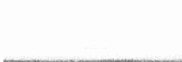 Spatule blanche - ML251626441
