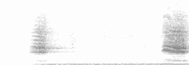 Краснобрюхий тукан - ML251665241