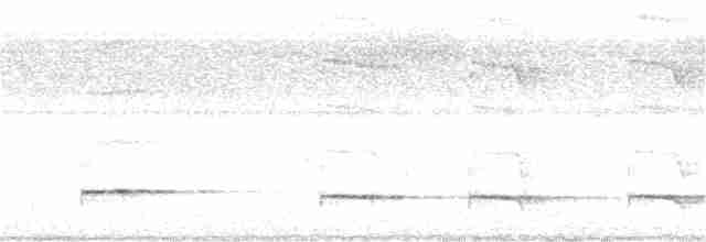 Graubrust-Ameisendrossel - ML251721651