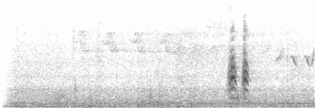 gråskrike (canadensis gr.) - ML251727051
