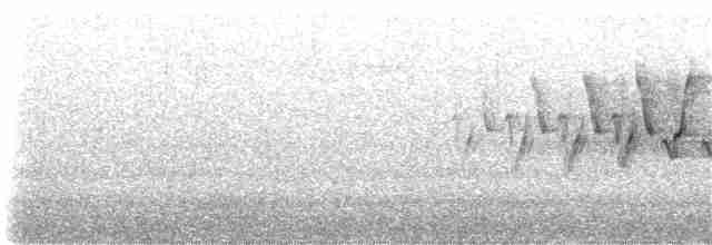 gråskrike (canadensis gr.) - ML251727351