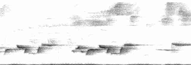 Серогрудый крапивник - ML251750231