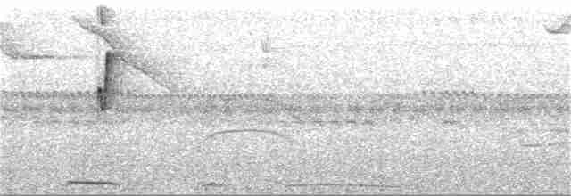 Мухолов-клинодзьоб узлісний - ML251761181